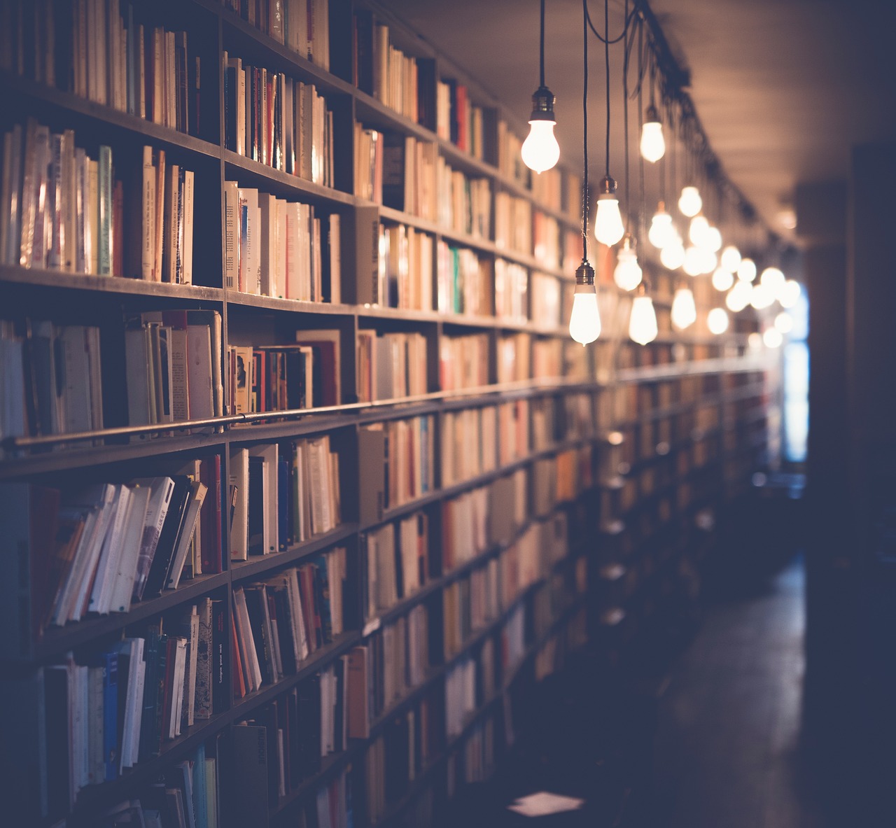 Natuurlijke elementen en boeken in offline ruimte. Natuurlijke elementen en boeken in offline ruimte.