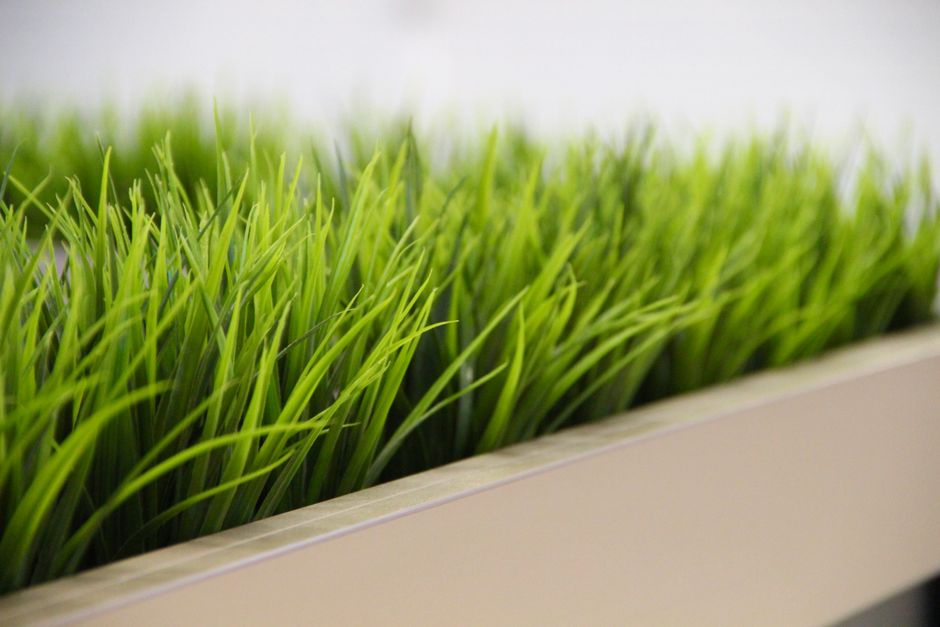 Eco-gazon met inheemse bloemen en planten. Eco-gazon met inheemse bloemen en planten.