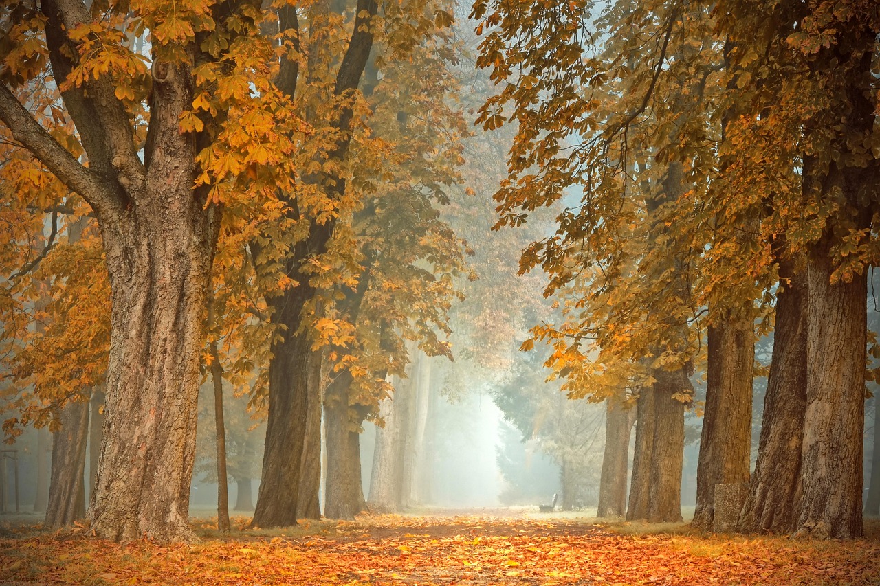 Verlichte lantaarns voor een sfeervol herfstbalkon.