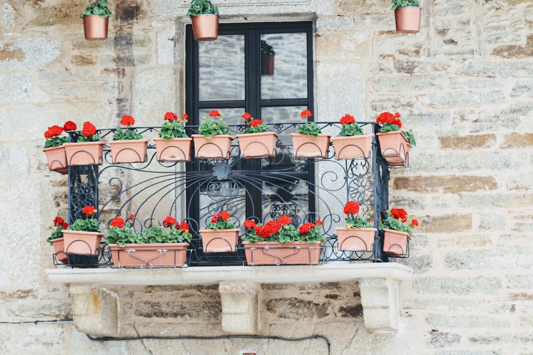 Herfstdecoraties op een balkon met pompoenen.